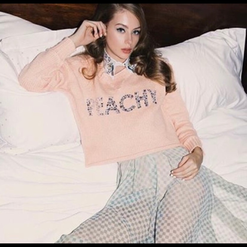 Wildfox crop sweater
